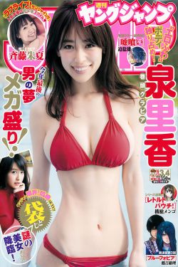 酒店之王5